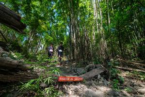 BIB: 
                            <button type="button" onclick="openModal(19394260)" class="btn btn-primary btn-sm float-right btn-popup" data-toggle="modal" data-target=".modal-high-quality">
                        <i class="fas fa-shopping-cart"></i> Add to Cart
                    </button>
                                            <button type="button" onclick="isThisMe(19394260, true)" class="btn btn-success btn-sm float-right btn-popup btn-isme hidden" data-toggle="tooltip" data-placement="bottom" title="นี่คือรูปของคุณใช่ไหม คลิกที่นี่เพื่อเอาเข้าอัลบั้ม">
                        <i class="fas fa-plus"></i> Add to album
                    </button>
                    <button type="button" onclick="isThisMe(19394260, false)" class="btn btn-warning btn-sm float-right btn-popup btn-isnotme hidden">
                        <i class="fas fa-ban"></i> Remove from album
                    </button>